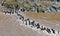 Chain of wildebeest crossing the river Mara