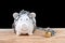 Chained piggy bank and lock money savings with chain and keys. Money security concept