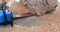 Chainsaw in action for cutting wood. worker cuts a tree trunk into logs with a saw. Close-up of a saw in motion, sawdust