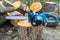 Chainsaw. Close-up of woodcutter sawing chain saw. Close up professional chainsaw blade cutting log of wood. Chainsaw bar