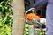 Chainsaw cutting a tree. small gasoline engine combined with saw as a tool to cut trees