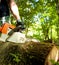 Chainsaw cutting wood