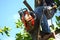 Chainsaw hanging on tree. small gasoline engine combined with saw as a tool to cut trees