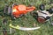 Chainsaw and pruning handsaw