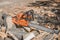 Chainsaw that stands on a heap of firewood in the yard on a background of firewood and trees cut by a chainsaw