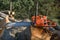 Chainsaw that stands on a heap of firewood in the yard on a background of firewood and trees cut by a chainsaw