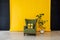 Chair and green plant in the interior of the room with a yellow background