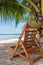 Chair and palm trees on the beach at Playa Larga in Cuba