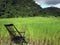 Chair relax rice field