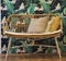 Chair sofa with pillows and jungle print wall paper