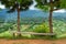 Chair on top of the mountain at Khao Takhian Ngo , Phetchabun.