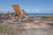 Chair very near the beach, calvi, corsica, france