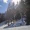 Chairlift at Italian ski area on snow covered Alps and pine tree