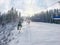 Chairlift in the spruce forest in ski resort in Carpathians