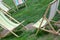 Chaise lounges on a lawn. Garden sunbeds on green grass