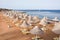 Chaises longues on the beach sea