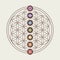 Chakra icons on sacred geometry design