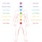Chakras Meanings Man Standing Upright Frontal