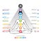 Chakras system of human body - used in Hinduism, Buddhism and Ayurveda.