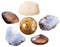 Chalcedony tumbled gemstones and crystals isolated