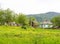 Chalet, mountain village, garden plots, forest, meadows, mountains, in summer.