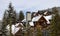 Chalets and Vacation Homes in a Village at a Famous Ski Resort