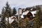 Chalets and Vacation Homes in a Village at a Famous Ski Resort