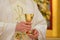 Chalice in the hands of the priest on the altar during the celebration of the mass