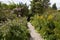 Chalice Well Gardens in Glastonbury.