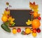 Chalk board on a light gray background framed with autumn leaves and vegetables. Autumn still life. Copy space, flat lay, top view