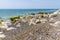 Chalk boulders line the shoreline at Hope Gap, Seaford, UK