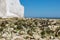 Chalk Cliffs in Sussex