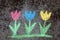 Chalk drawing on asphalt: colorful tulips