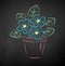 Chalk drawn illustration of flower in pot