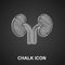 Chalk Human kidneys icon isolated on black background. Vector