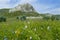 Chalk rocks and blossom meadow