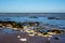 Chalk rocks exposed at low tide in Botany Bay near Broadstairs in Kent