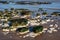 Chalk rocks exposed at low tide in Botany Bay near Broadstairs in Kent