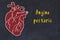 Chalk sketch of human heart on black desc and inscription Angina pectoris