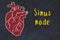 Chalk sketch of human heart on black desc and inscription Sinus node