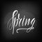 Chalkboard blackboard lettering spring. Handwritten