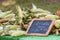 Chalkboard Sign Promotes Corn On Sale At Local Farmers Market