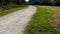 Chalky path to the trees and hills