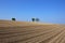 Chalky potato field