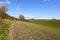 Chalky soil and autumn hedgerow