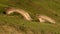 Challenging bike trail on the top of Berneuse, Switzerland