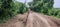 Challenging Rural Route: Muddy Dirt Road and Deep Wheel Ruts
