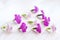 Chamaenerion flowers on white wooden background