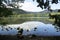 The Chambon lake, Auvergne in France