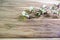 Chamelaucium flowers & x28;waxflower& x29; on wooden table